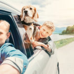 Father, son, and dog hanging out of the window of a moving car