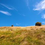 alberta prairies