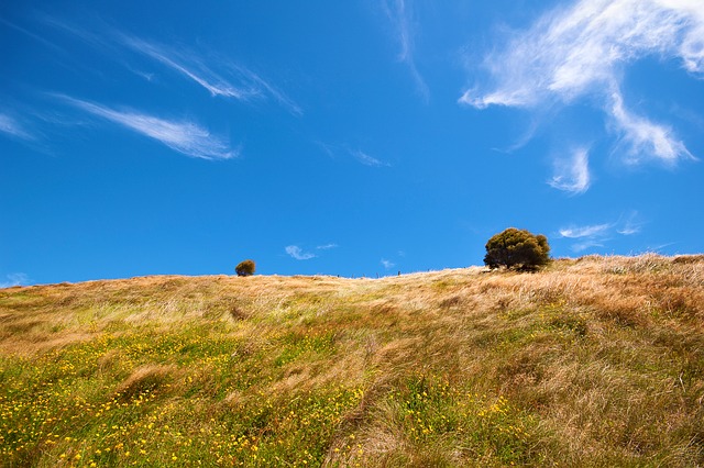 alberta prairies