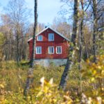 a-red-house-in-the-forest-that-has-been-accident-proofed