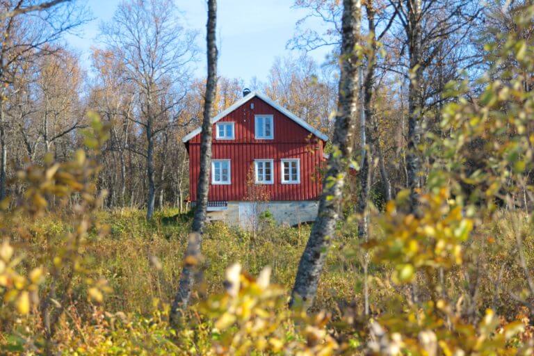 a-red-house-in-the-forest-that-has-been-accident-proofed