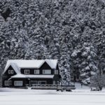 Dark snow-covered house in front of snowy trees