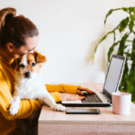 woman in yellow sweater with high ponytail working at a laptop with brown and white puppy on her lap. lush green plant in background.