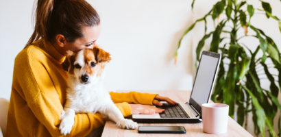 woman in yellow sweater with high ponytail working at a laptop with brown and white puppy on her lap. lush green plant in background.