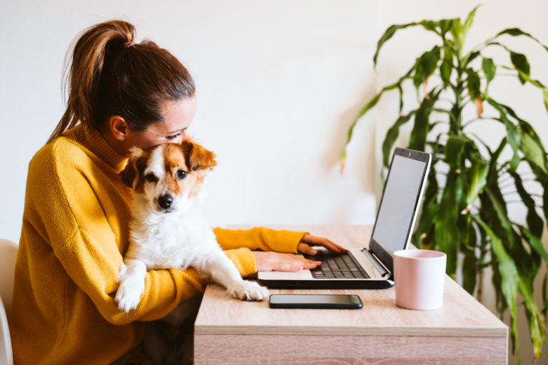 woman in yellow sweater with high ponytail working at a laptop with brown and white puppy on her lap. lush green plant in background.
