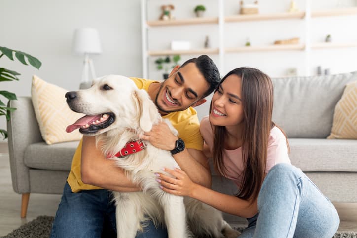 Couple sitting on the floor at home while petting their dog